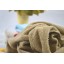 42*65cm Velvet Pile Soft Towel A-M004
