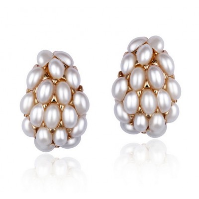 http://www.orientmoon.com/75258-thickbox/exquisite-retro-joker-shell-pearl18k-gold-plating-drop-earring.jpg
