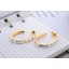 Exquisite Luxurious Rhinestone Round Pattern 18K Gold Plating Drop Earring