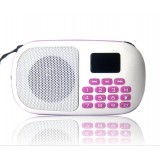 Wholesale - YueSong S6 Radio Shape Multi Card Read Speaker with FM Radio