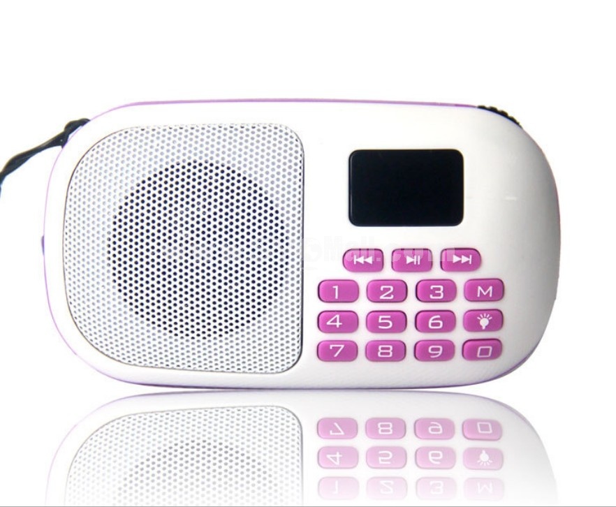 YueSong S6 Radio Shape Multi Card Read Speaker with FM Radio