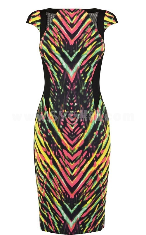 2013 New Arrival Colorful Printing Round Neck Slim Dress Evening Dress DQ097