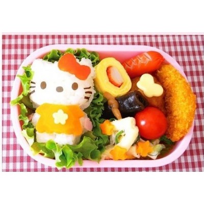 http://www.orientmoon.com/83936-thickbox/cute-cat-diy-rice-mold-creative-kitchen-tool.jpg