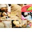 Comfort Multifunction Blanket Pillow 2 in 1 Travel Pillow - Yellow Dog