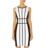Wholesale - Black Stripes Dessign Sleeveless Slim Dress Evening Dress