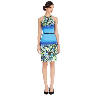 http://www.orientmoon.com/86507-thickbox/coast-new-arrival-blue-color-gradual-change-halter-dress-evening-dress.jpg