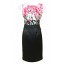 COAST New Arrival Embroidery Sleeveless Slim Dress Evening Dress CT410