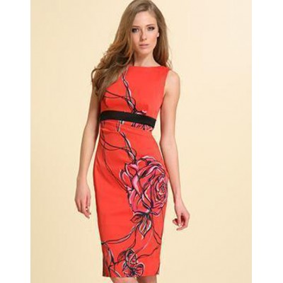 http://www.orientmoon.com/86662-thickbox/km-rose-printing-sleeveless-dress-evening-dress-dg032.jpg