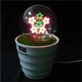 Wholesale - cute & novel star projecting bonsai night light