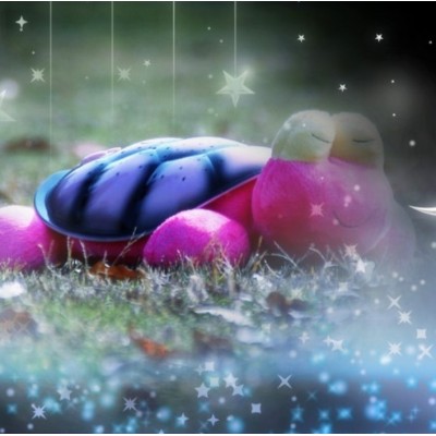 http://www.orientmoon.com/88554-thickbox/snail-turtle-plush-toy-led-star-night-projector-led-night-light.jpg