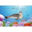 Sea Animals Imitate Toys Stimulation Models -- Sea Dog S14702
