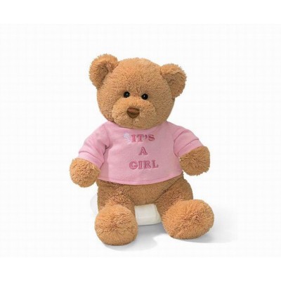 http://www.orientmoon.com/89289-thickbox/bear-plush-toy-pink-girl-bear-34cm-134inch-tall.jpg