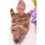 Squeaking Dog Chewing Toy Plush Toy Dog Toy Pet Toy -- Plush Bear