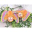 Fat Cat Squeaking Cat Toy Pet Toy Chewing Toy -- Butterfly