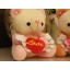 Angel Bear with Loving-heart 12s Voice Recording Doll Sound Recordable Plush Toy 18cm/7"
