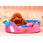 Cute Mini Dog Bed Soft and Machine Washable Small Size 60cm/23inch