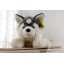 Husky Dog Plush Toy Imitate Toy 32cm/12.6inch