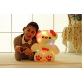 Wholesale - Sound Control Love Bear with Light Effect Plush Toy 65cm/25.6inch