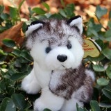 Wholesale - Aurora Husky Dog Plush Toy Imitate Toy 16cm/6.3inch
