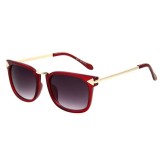 Wholesale - Women Wayfarer Style Sunglasses with Spectacle Case 8977