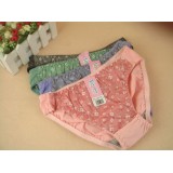 Wholesale - Lady Middle Waist Bodyfit Solid Color Emboidery Underwear (6169K)