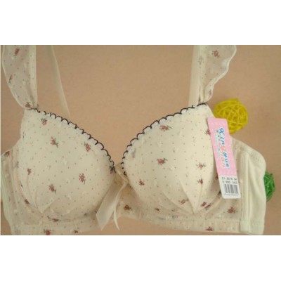 http://www.orientmoon.com/9590-thickbox/lady-lovely-lace-floral-bra-825.jpg
