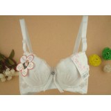 Wholesale - Sexy Lace Gather Together Embodidery Thick Bra (8863)  