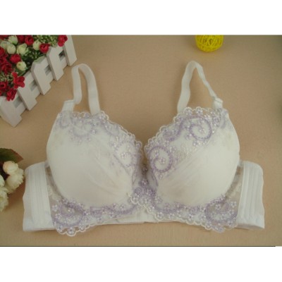 http://www.orientmoon.com/9656-thickbox/women-sexy-adjustable-flower-print-underwire-thick-bra-2622.jpg