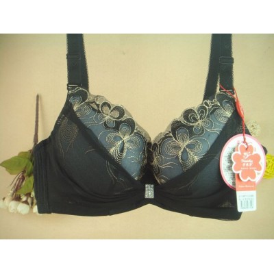 http://www.orientmoon.com/9683-thickbox/women-sexy-emboidery-bra-9971.jpg