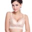 Lace Embroidery Adjustable Deep V Extra Gather & Push up Bra
