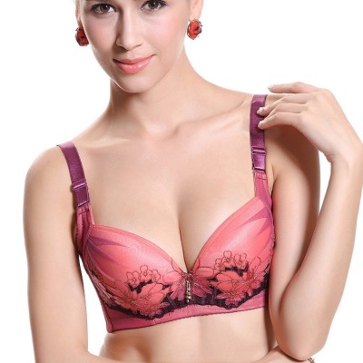http://www.orientmoon.com/96966-thickbox/flora-embroidery-lace-adjustable-deep-v-extra-gather-push-up-bra.jpg