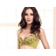Embroidery Elegant Adjustable Deep V Extra Gather & Push up Bra with Water Bag