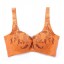 Embroidery Elegant Adjustable Deep V Extra Gather & Push up Bra with Water Bag