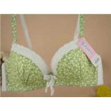 Wholesale - Lady Lovely Adjustable Underwired Bra (811)