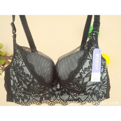 http://www.orientmoon.com/9724-thickbox/women-sexy-emboidery-bra-6796.jpg