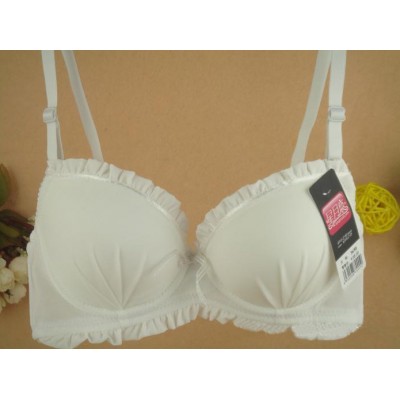 http://www.orientmoon.com/9742-thickbox/lady-lovely-gather-together-floral-bra-2348.jpg