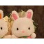 Cute Fruit Rabbit 12s Recording Doll Plush Toy 18cm/7"