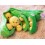 Wholesale - Creative Peas Doll Plush Toy 25cm/9.8inch