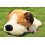 Wholesale - Cartoon Sleepy Puppy PP Cotton Stuffed Animal Plush Toy 40CM Tall