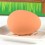 HOOPET Safe Rubber Egg Shaped Dog Training Toy