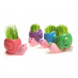 Wholesale - Vogue Horticulture DIY Mini Green Plant Snall Ceramic Stand Pattern Plant 