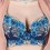 Wholesale - Flora Embroidery Summer Thin  Adjustable Deep V Extra Gather & Push up Bra